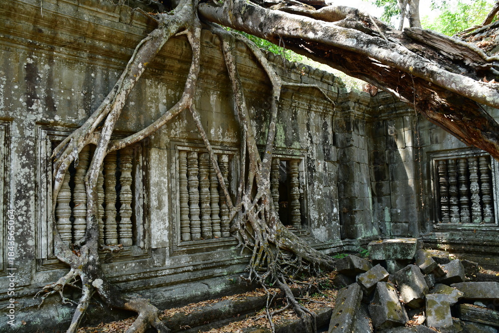 Naklejka premium カンボジア シェムリアップ遺跡群 ベン・メリア
