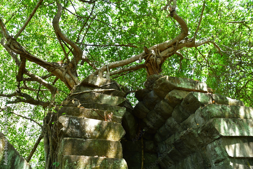 Obraz premium カンボジア シェムリアップ遺跡群 ベン・メリア