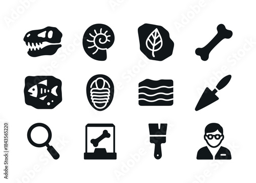 Fossil Icon Collection. Fossils. Solid icon set of Fossils: dino