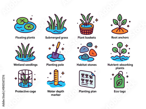 Aquatic Plant Icon Set. Aquatic Planting. Colorful isometric vec
