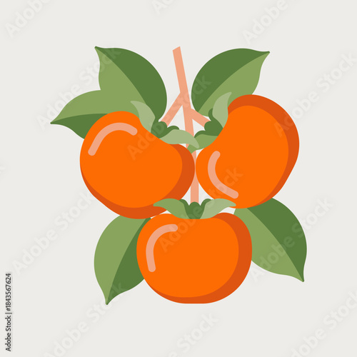 A beautiful cluster of vibrant orange persimmons surrounded by rich green leaves, showcasing the natural beauty and freshness of this delightful fruit arrangement.