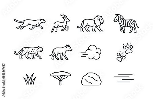 Wild Animal Icon Set. Wild chase. Line icon set of wild chase: c
