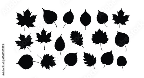 Collection of black leaf silhouettes on white background