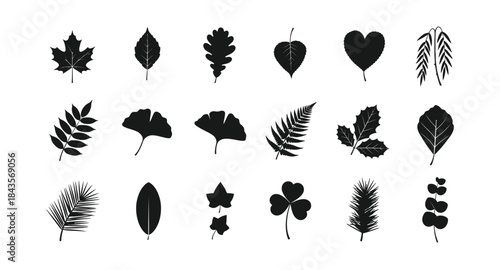 Collection of various leaf shapes and silhouettes