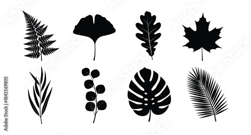 Collection of various leaf silhouettes