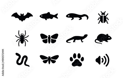 Subterranean Wildlife Icons. Subterranean Wildlife. Solid icon s