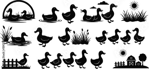 Duck silhouettes, farm scene, swimming ducks, reeds, barn, nature, rural life, walking ducks, cad drawing, flat vector