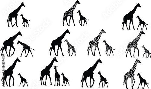 Flat vector, giraffe silhouette poses, parent and baby, animal bond, patterned fill, nature scene, wildlife illustration, black and white, forest background, 