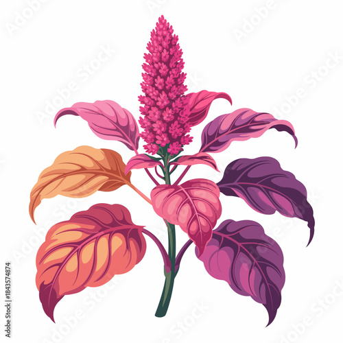 A stunning plant features vibrant pink leaves and a tall flowering spike, embodying nature's beauty and the vivid colors of a flourishing garden or indoor space.