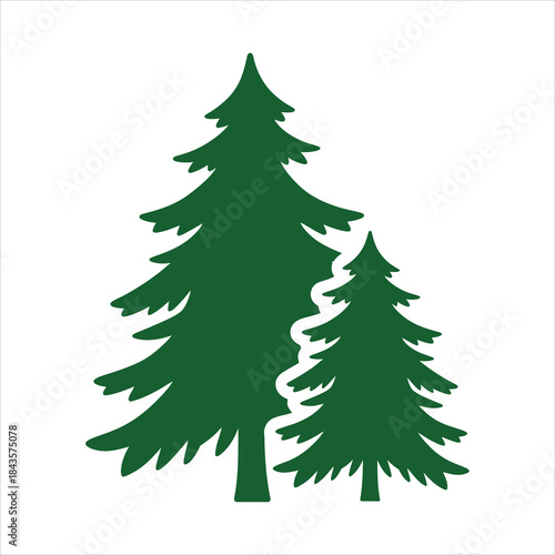 Two dark green fir trees stand side by side on a pure white background