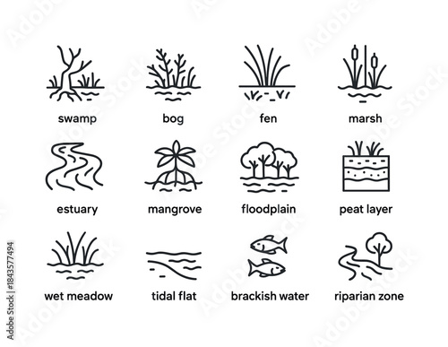 Wetland Ecosystem Icons. Wetland ecosystems. Line icon set of we