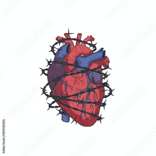 A stylized illustration of a human heart entangled in sharp barbed wire on a white background