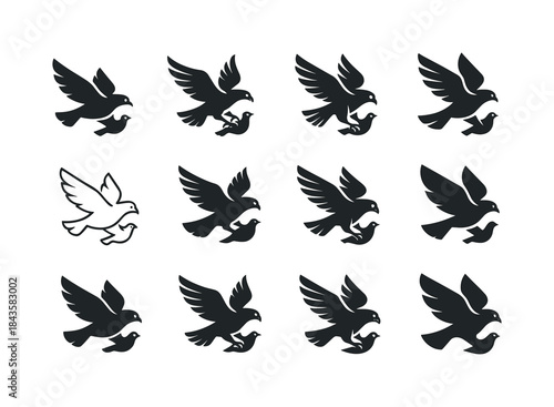 Wildlife Chase Logos. Wildlife Chasing. Icon set. Set Logo of Wi