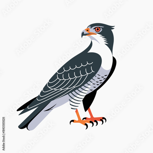 A visually appealing stylized illustration of a hawk, showcasing natural beauty, wildlife, and artistry through vibrant colors and distinctive design elements.