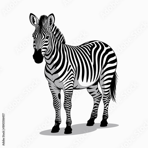 A realistic depiction of a zebra standing gracefully in profile showcases its distinctive black and white stripes, emphasizing the beauty of wildlife and nature in this artistic rendering.
