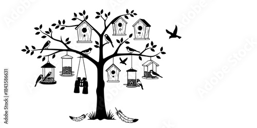 Birds feeders houses binoculars feathers tree vector
