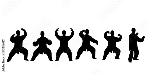 Tai chi chuan silhouettes martial arts poses.