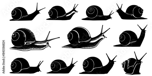Collection of black snail silhouettes on white background

