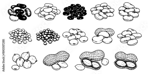 Various types of beans and peanuts icon set. 