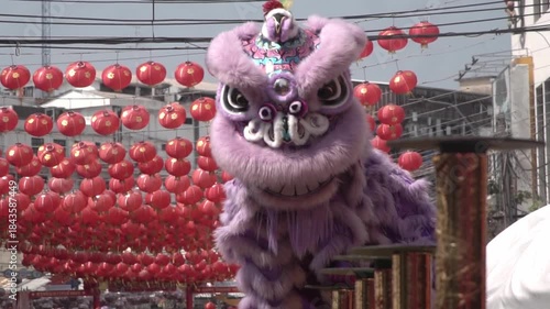Chinese lion dance performing, Slow motion.