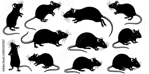 Collection of black silhouettes of mice and rats.