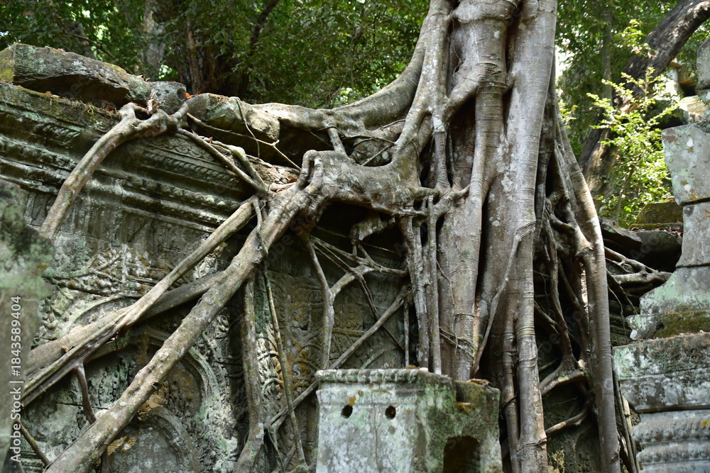 Naklejka premium カンボジア シェムリアップ遺跡群 タ・プローム