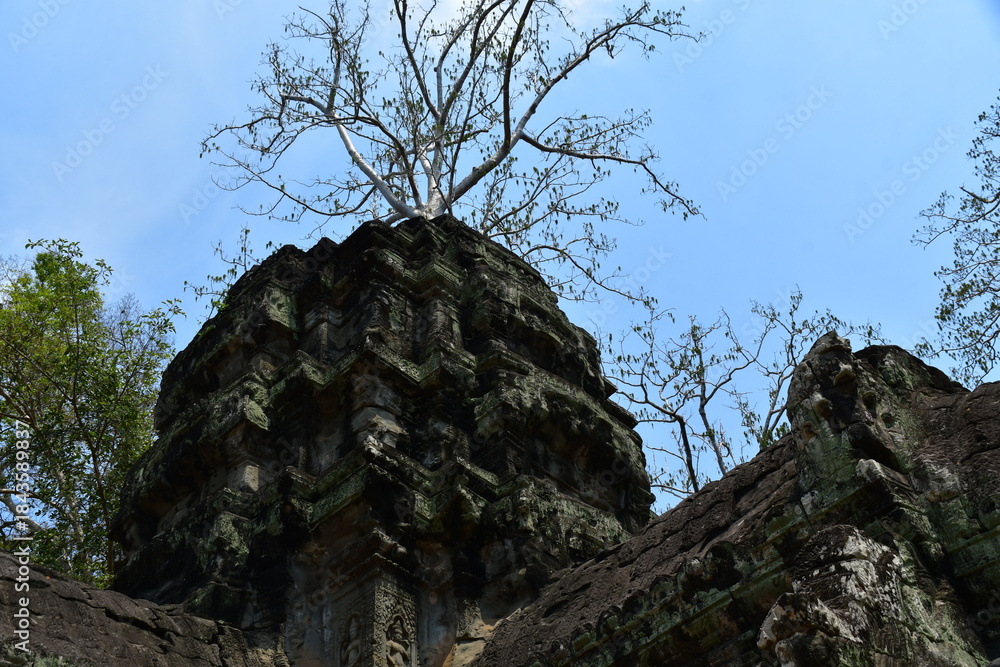 Naklejka premium カンボジア シェムリアップ遺跡群 タ・プローム 