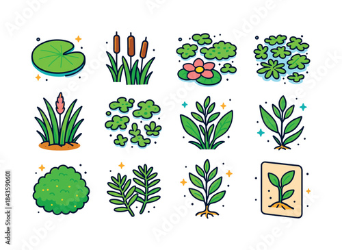 Colorful Aquatic Icons. Aquatic Plants. Colorful isometric vecto