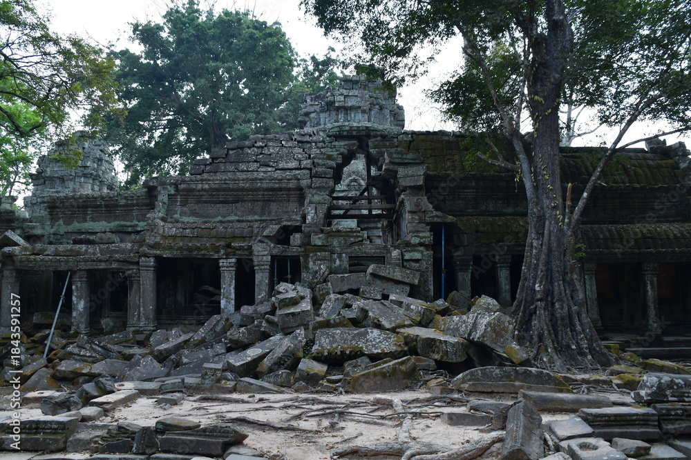 Naklejka premium カンボジア シェムリアップ遺跡群 タ・プローム