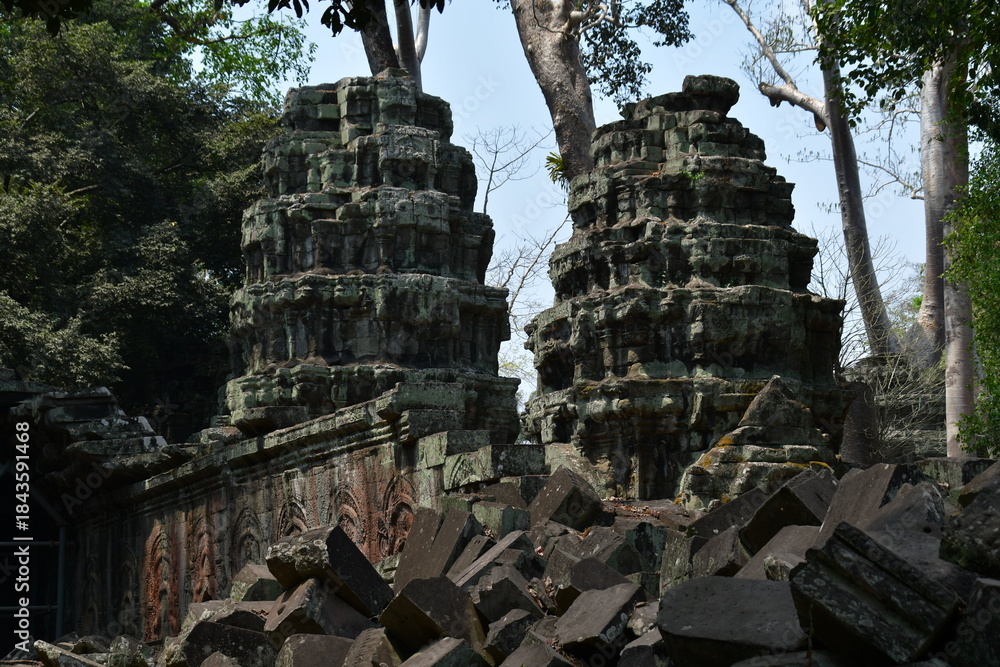 Naklejka premium カンボジア シェムリアップ遺跡群 タ・プローム