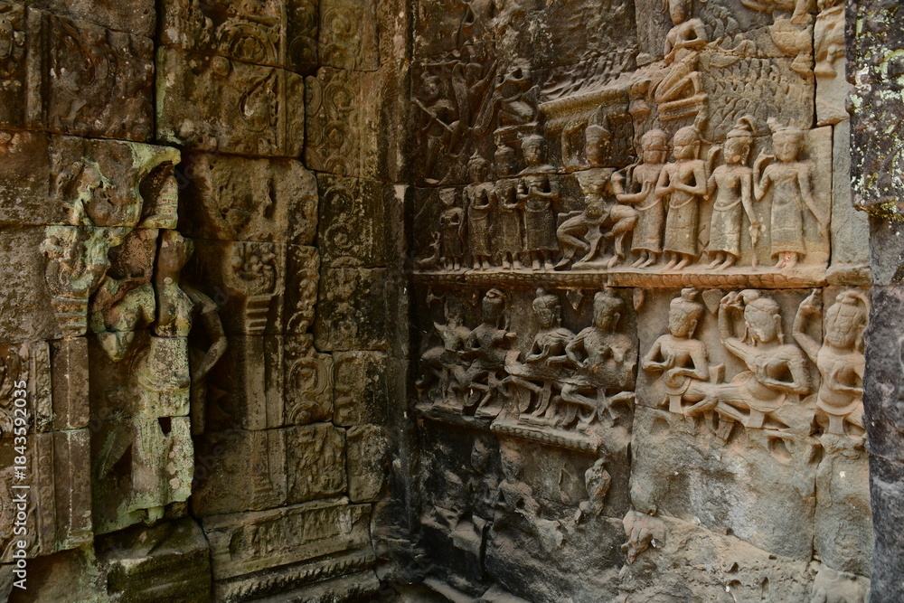 Obraz premium カンボジア シェムリアップ遺跡群 タ・プローム 