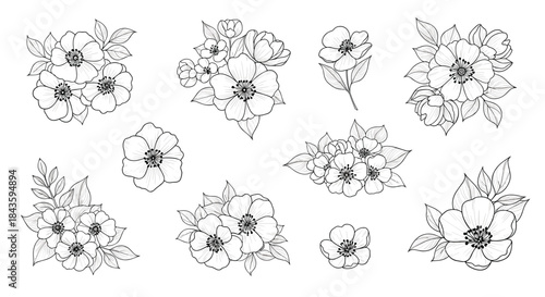 Black and white line drawing of ten delicate floral bouquets and petals arranged across a white background for artistic botanical study.
