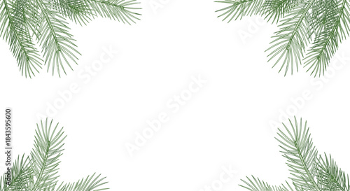 Framing with lush green pine branches in all four corners forms a broad wintry foliage border surrounding a bright white center inviting a calm seasonal mood.