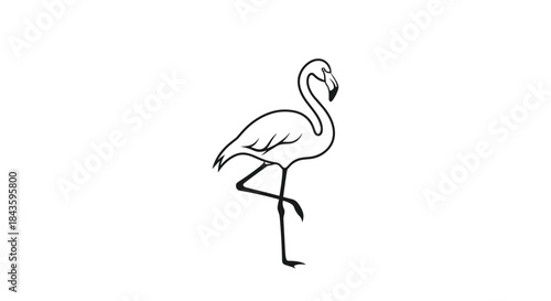 Minimalist line drawing of a flamingo standing on one leg showing graceful curves and balance in a simple monochrome silhouette.
