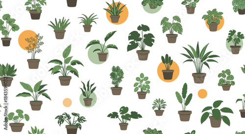 Vibrant arrangement of assorted potted houseplants arranged in a decorative pattern featuring a mix of leafy greens and succulents on a white background.