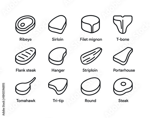 Steak Cuts Icons. A close-up of a perfectly cooked steak with a