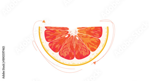 Vibrant illustration of a juicy orange slice shown as a semicircle with bright segments and a thick rind in warm citrus tones for fresh healthy food imagery.
