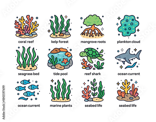 Colorful Marine Ecosystems Icons. Marine Ecosystems. Colorful is