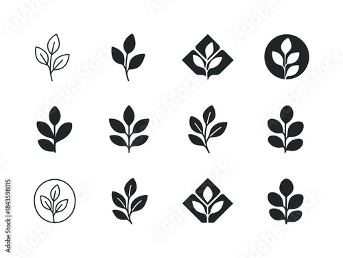 Nature Vibe Logos. Nature vibe package design with flowers and p