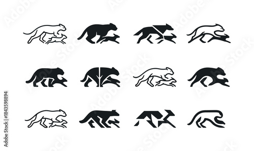 Wildlife Chase Logos. Wildlife Chasing. Icon set. Set Logo of Wi