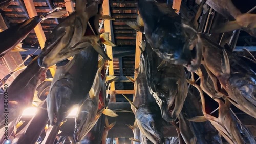 塩引鮭の吊るされた日本家屋