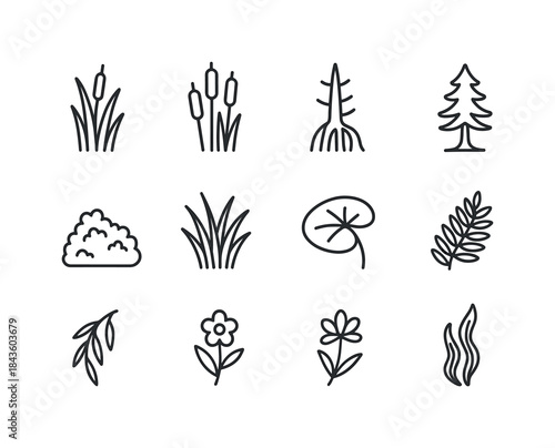 Wetland Plant Line Icons. Wetland plants. Line icon set of wetla
