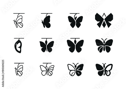 Butterfly Transformation Icons. Transformation. Icon set. Set Lo