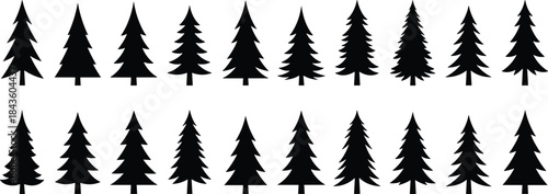 Pine tree silhouette, conifer illustration, evergreen forest design, nature background, wilderness landscape, black silhouette, vector art, outdoor scenery, woodland