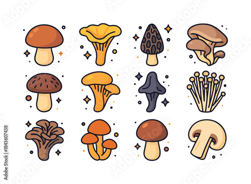 Colorful Mushroom Icons. Edible mushrooms. Colorful isometric ve