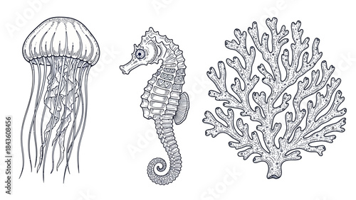 Delicate fine line sea life vector elements with intricate jellyfish, seahorse, and coral for nautical design