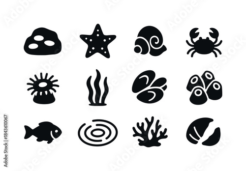 Rocky Tide Pools Icons. Rocky tide pools. Solid icon set of rock