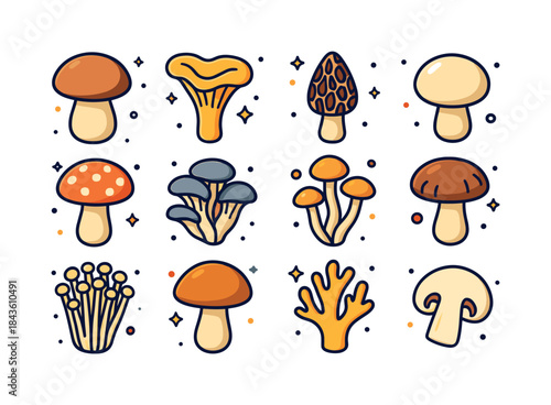 Vibrant Mushroom Icons. Wild mushrooms. Colorful isometric vecto