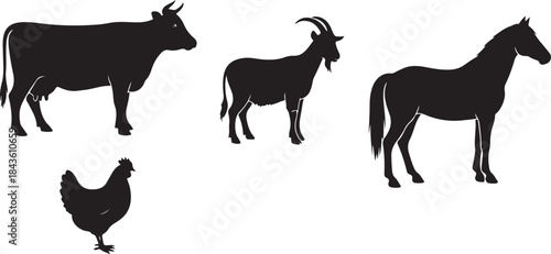 Farm Animal Silhouettes Collection
Rustic Livestock Shadow Art
Classic Farm Animals Vector Set