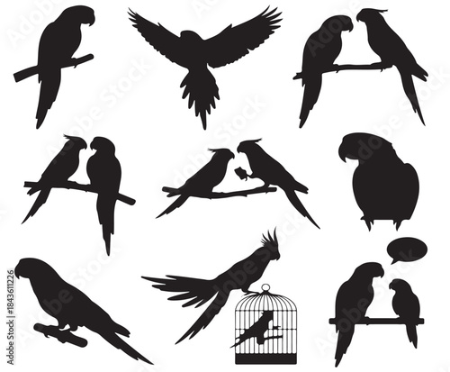 Collection of various parrot and bird silhouettes in different poses, including flying, perching, and interacting, with one bird in a cage.